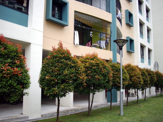 Jurong West Street 64 thumbnail photo